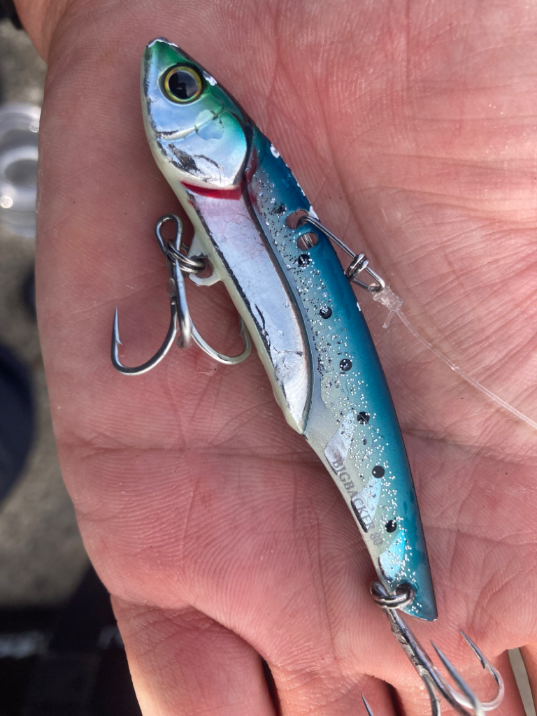 メジロ！2023ライトゲーム第15戦