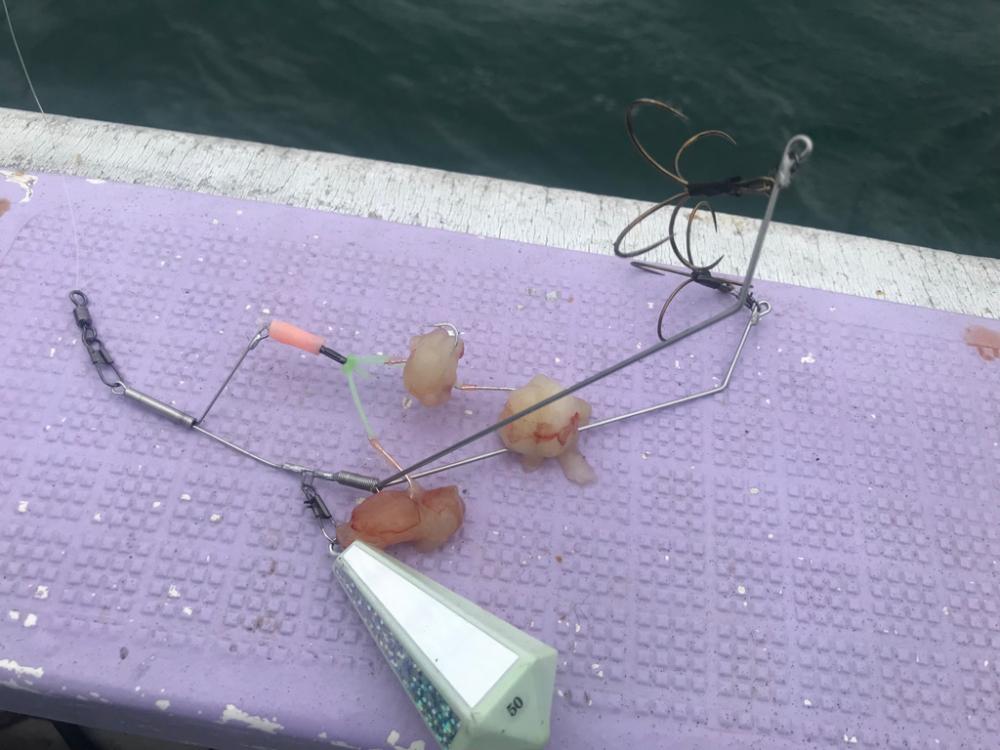 栄真丸カットウ釣り