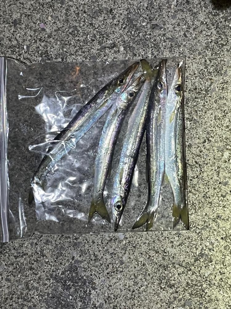 夕まずめフロート