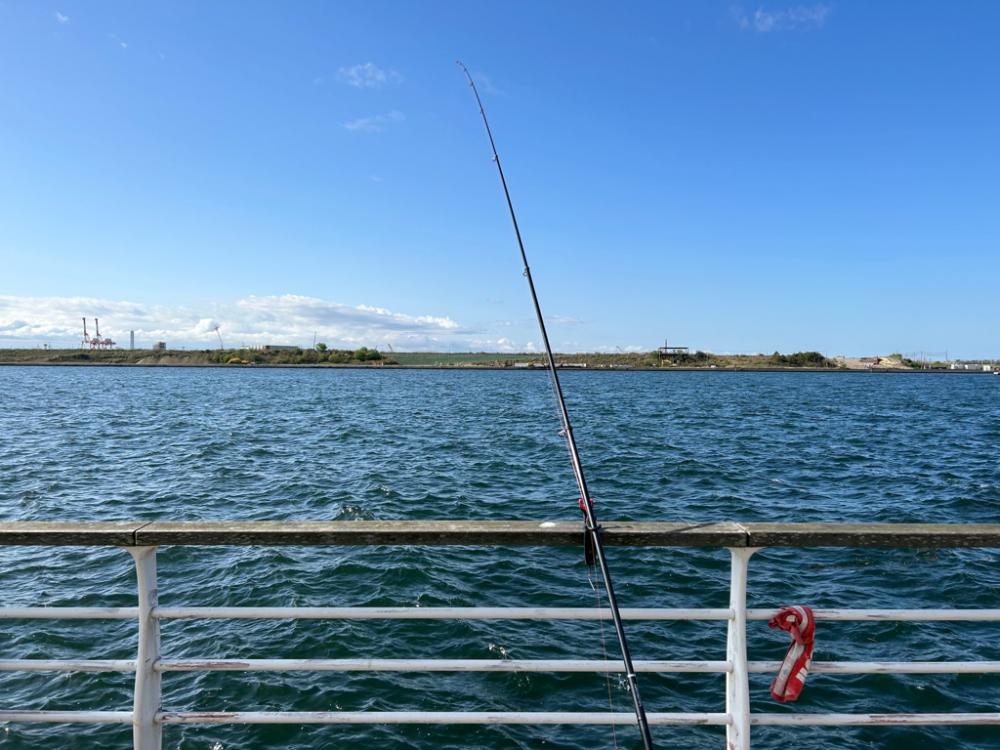 青物狙いでしたが・・・。