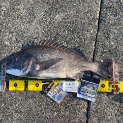 DAY2 南港のつり