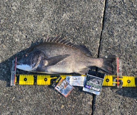 DAY2 南港のつり