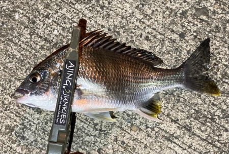 3目ライトゲーム