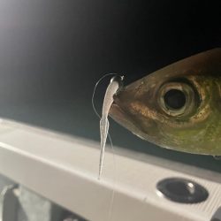 ボートアジング🌊🛥