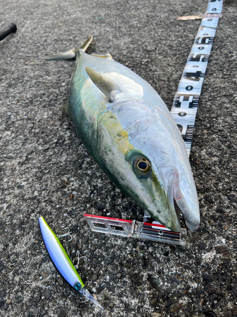 アイザー125 Fでランカーシーバス