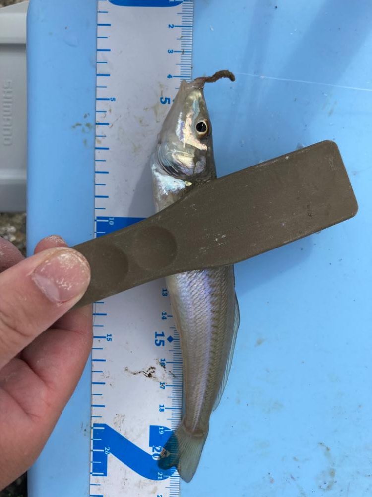 ライトキスゲーム