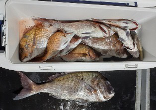 完全フカセby倉丸　大漁✌️