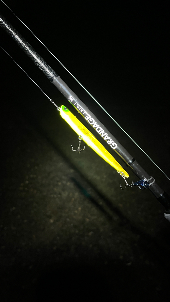 バチ抜けシーバス