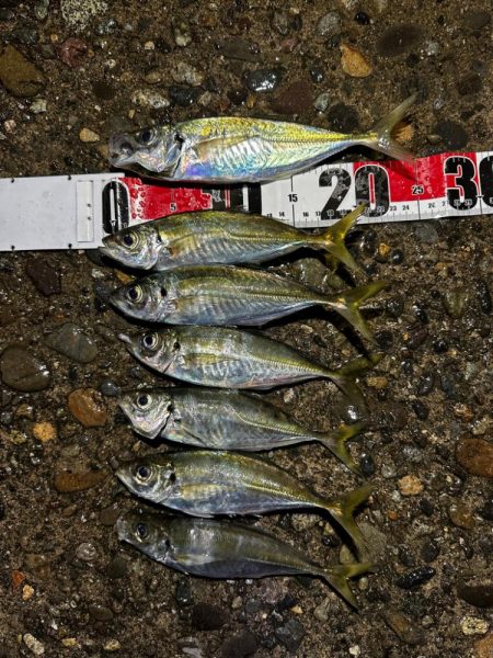 4月14日、4月15日釣果