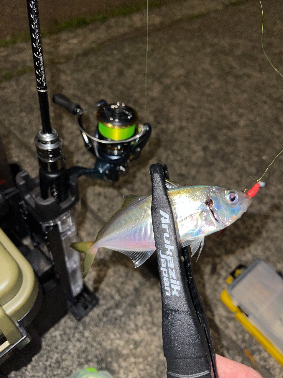 アジング良い感じ