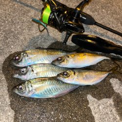 やっぱり時間帯