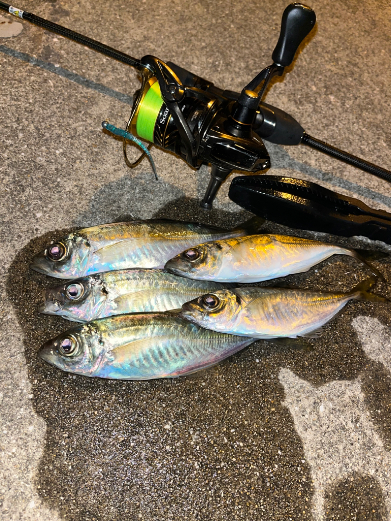 やっぱり時間帯