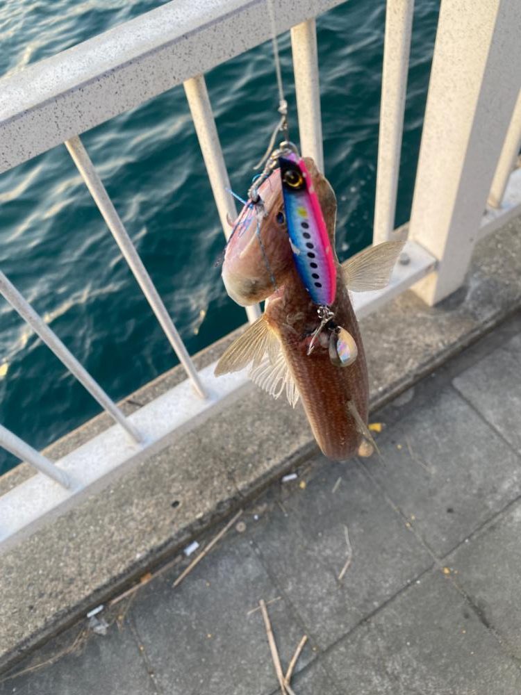 エソ！エソ！エソ！