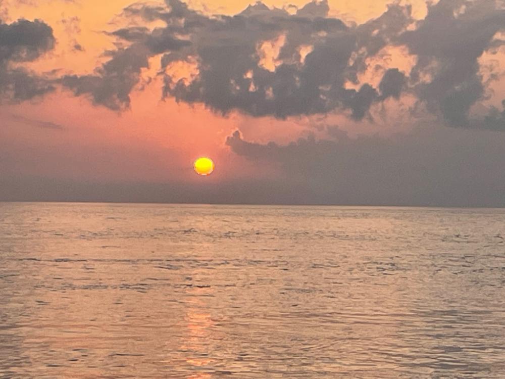 タコちゃんとネンブツダイ