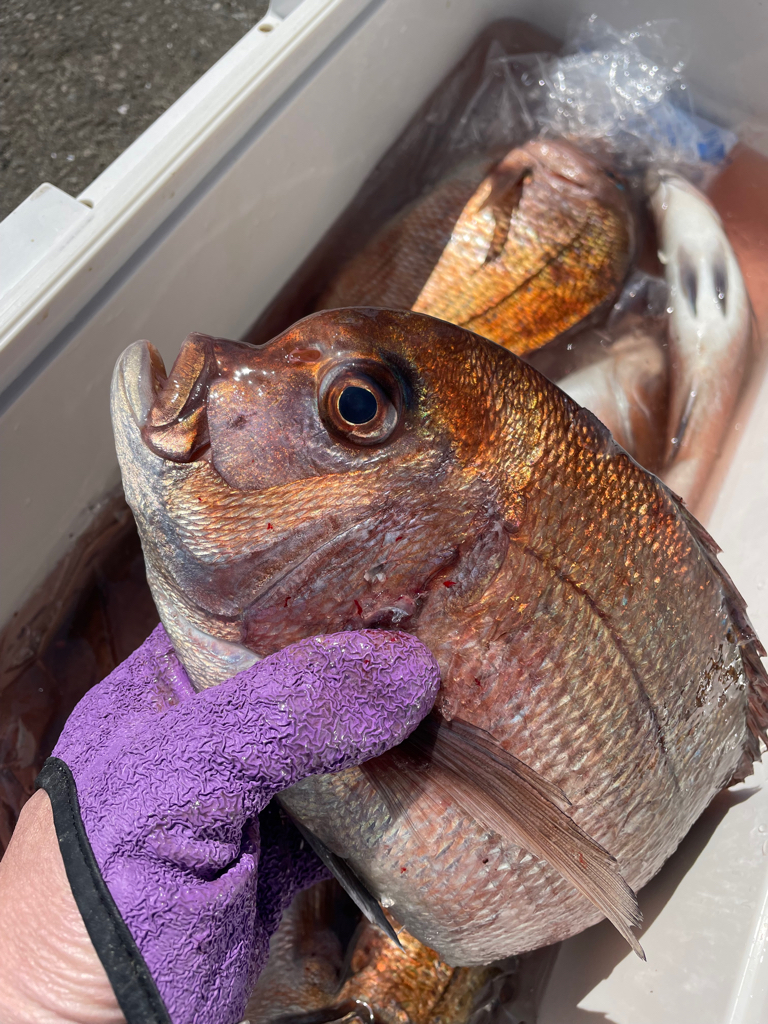 釣堀水宝さんにて