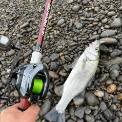 相棒はマリノ9.9Ｈ