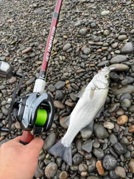 相棒はマリノ9.9Ｈ