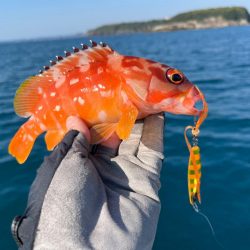 【新製品】ジャックアイフリフリバイブのポテンシャル