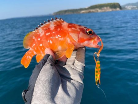 【新製品】ジャックアイフリフリバイブのポテンシャル