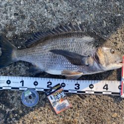 DAY1 南港のつり