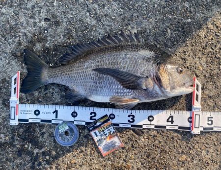 DAY1 南港のつり