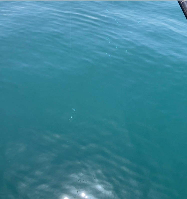 負の条件揃い踏み