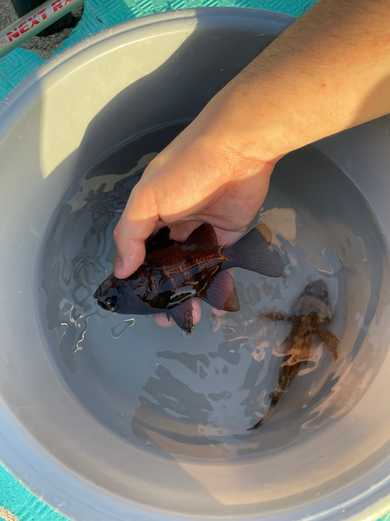 ホテル浦島!果たして?