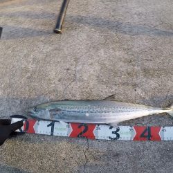 2023ライトゲーム第10戦