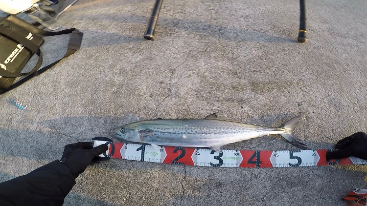 2023ライトゲーム第10戦