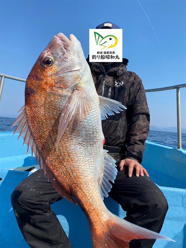 真鯛、青物、根魚の強烈な時合い有り！マハタも好調