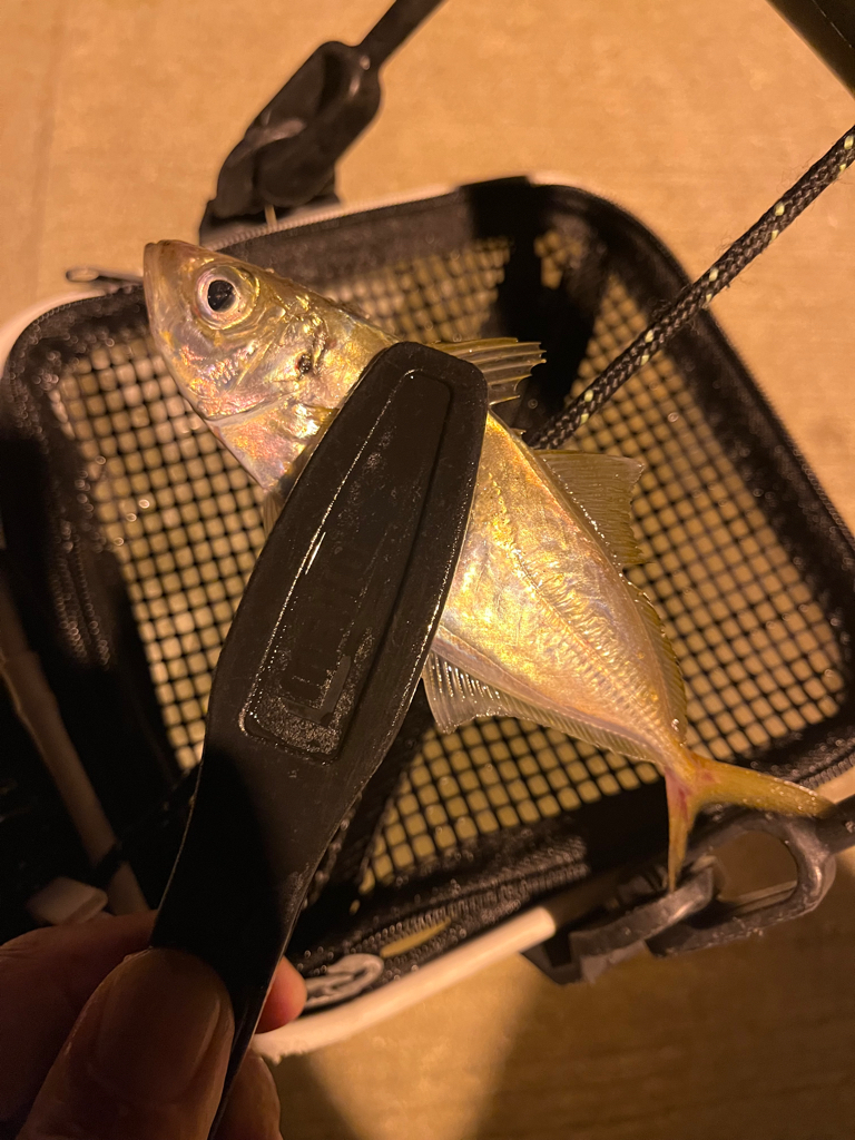 風が寒い・・・釣果も