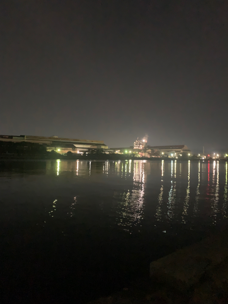 やっと本命のシーバスちゃん