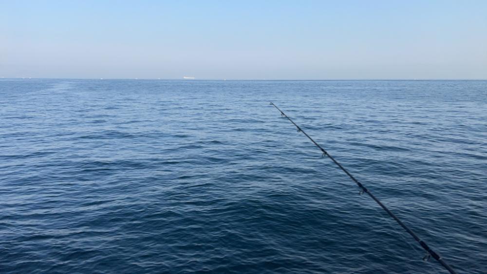 鯵を探して三千里 Vol.38