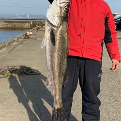 メーター級シーバス