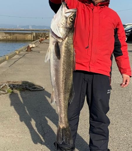 メーター級シーバス