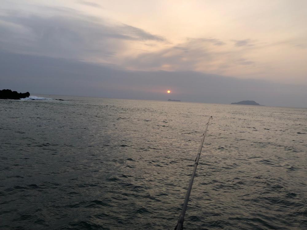 久しぶりの生命感