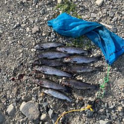 尺代あまご・マス釣り場へ