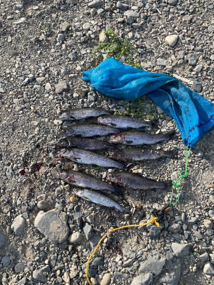 尺代あまご・マス釣り場へ