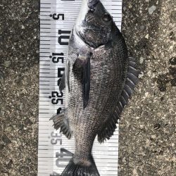 イチノ兄弟(兄)釣果!