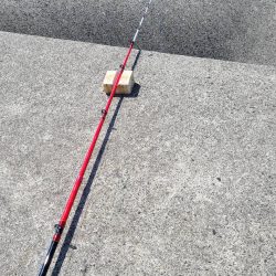 和歌山　御坊の堤防でウツボ釣り