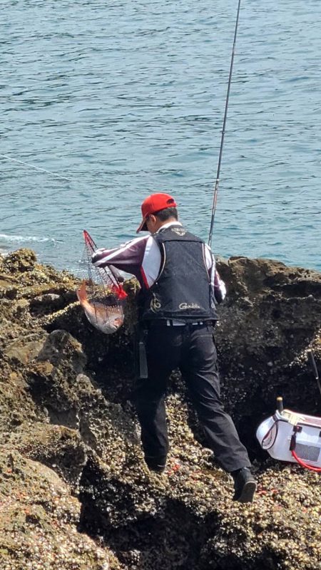 和歌山県勝浦でグレ釣りトーナメント予選