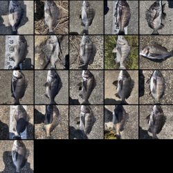 イチノ兄弟（兄）ちょ！