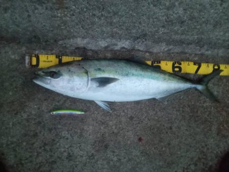 プチsalt water game