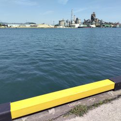 苅田南港デイシーバス