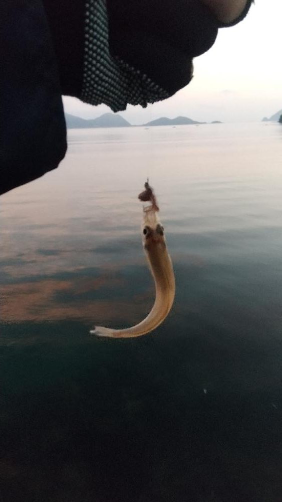 キス釣り開幕戦