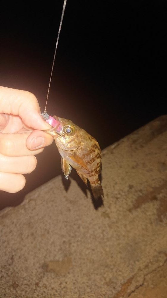 ちっこいやつしかいない。