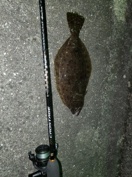 外道の正体は？