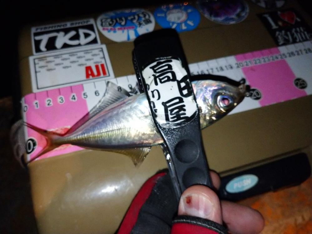 今夜も爆風アジング