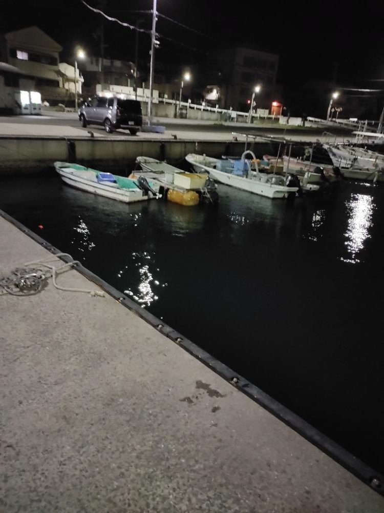 豆アジング@小島