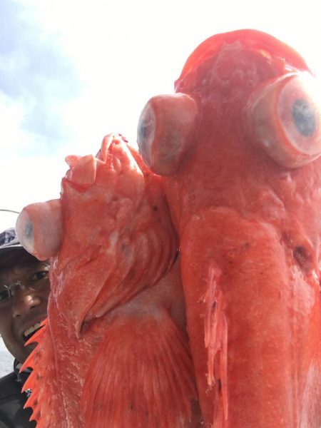 アコウダイ釣り　駿河湾　深海魚漁師の遊漁船　大宝丸